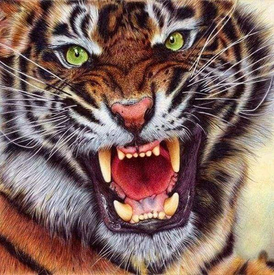 Diamond Painting - Denti Di Tigre Diamond Painting