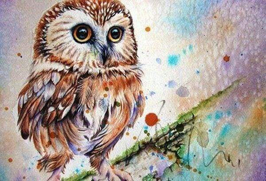 Diamond Painting - Disegno Di Gufo Diamond Painting