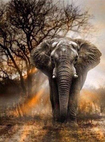 Diamond Painting - Elefante Nella Savana Diamond Painting