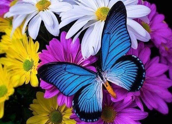Diamond Painting - Farfalla Blu E Fiori Diamond Painting