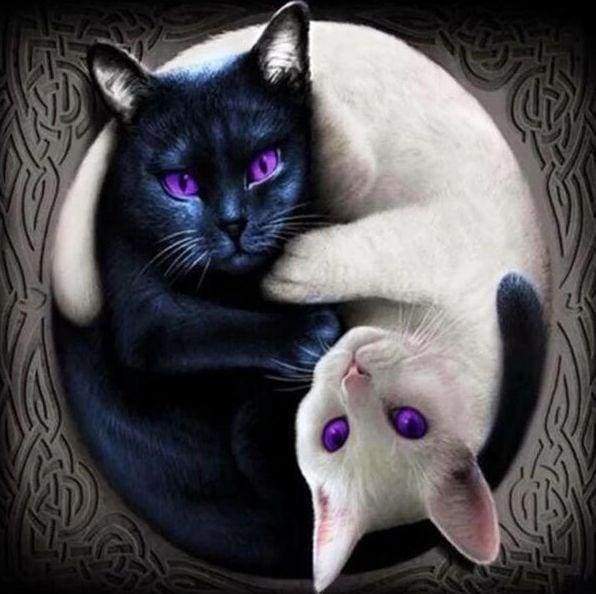 Diamond Painting - Gatti Yin E Yang Diamond Painting