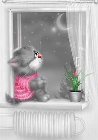 Diamond Painting - Gattino Chiaro Di Luna Diamond Painting
