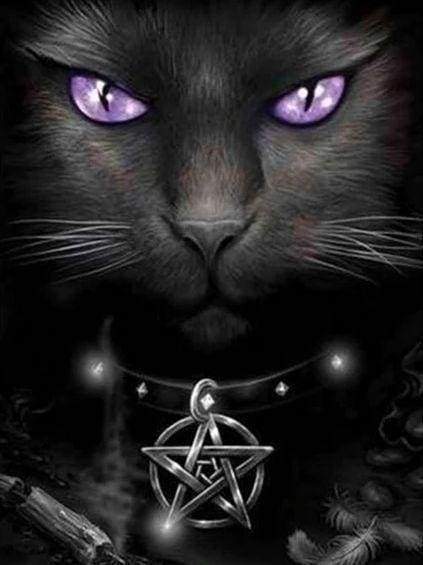 Diamond Painting - Gatto Con Gli Occhi Viola Diamond Painting