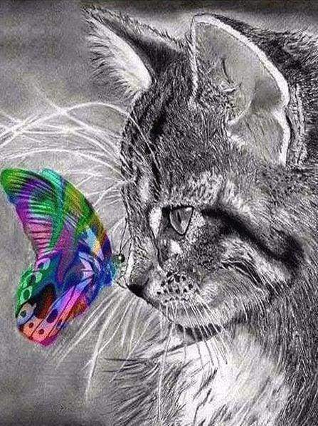 Diamond Painting - Gatto E Farfalla Colorati Diamond Painting