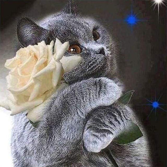 Diamond Painting - Gatto E Rosa Bianca Diamond Painting