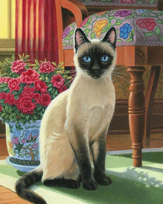 Diamond Painting - Gatto con gli occhi blu Diamond Painting | Seos Shop ®
