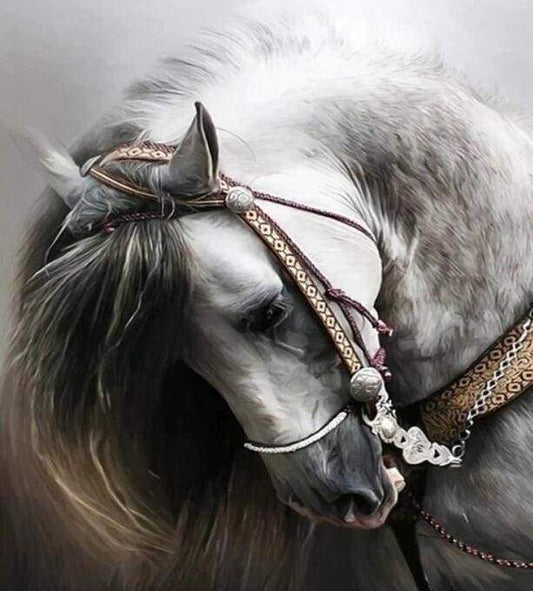 Diamond Painting - Grande Cavallo Diamond Painting