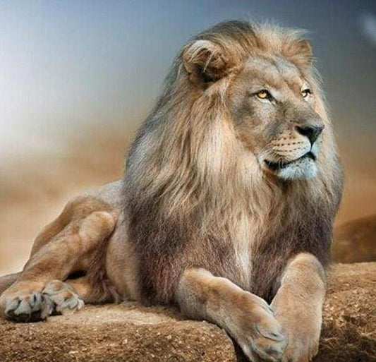 Diamond Painting - Grande Leone Diamond Painting