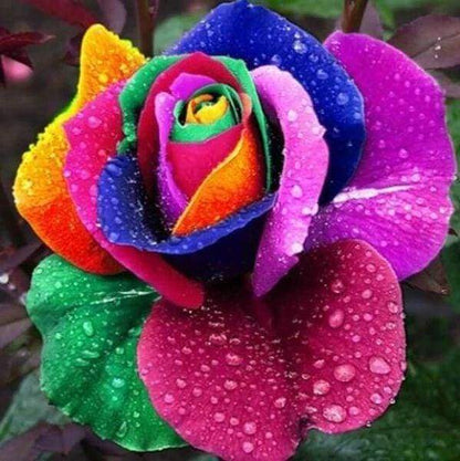 Diamond Painting - Grande Petalo Di Fiore Diamond Painting