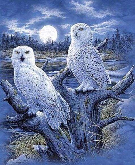 Diamond Painting - Gufi E Luna Diamond Painting