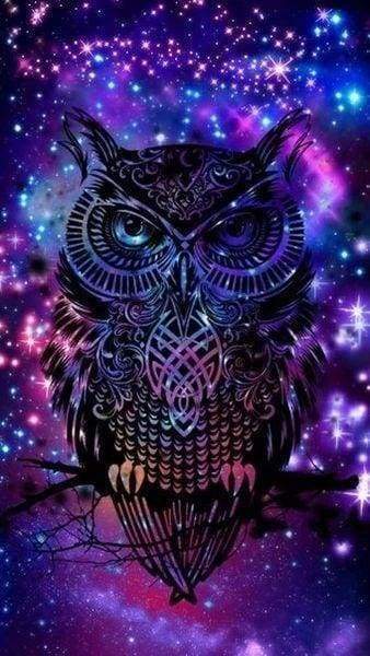 Diamond Painting - Gufo Nella Notte Diamond Painting