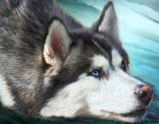 Diamond Painting - Husky Con Gli Occhi Azzurri Diamond Painting