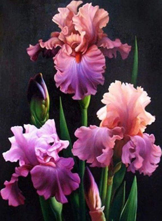 Diamond Painting - Iris In Fiore Diamond Painting