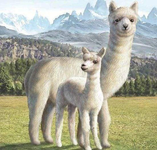 Diamond Painting - Lama Diamond Painting kit diamond painting