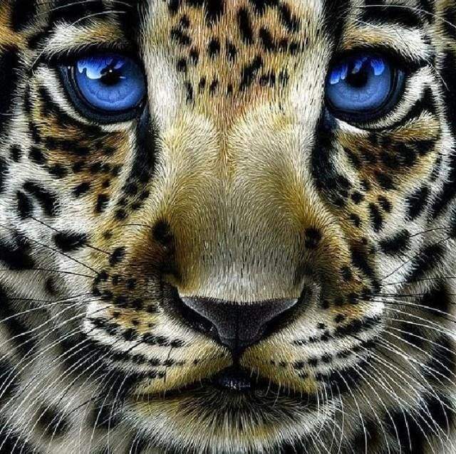 Diamond Painting - Leopardo Con Gli Occhi Azzurri Diamond Painting
