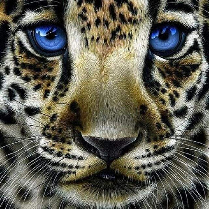 Diamond Painting - Leopardo Con Gli Occhi Azzurri Diamond Painting