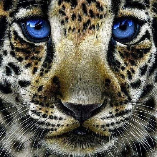 Diamond Painting - Leopardo Con Gli Occhi Azzurri Diamond Painting
