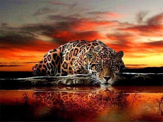 Diamond Painting - Leopardo Diamond Painting