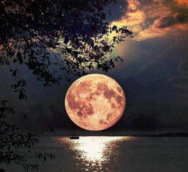 Diamond Painting - Luna Piena Diamond Painting