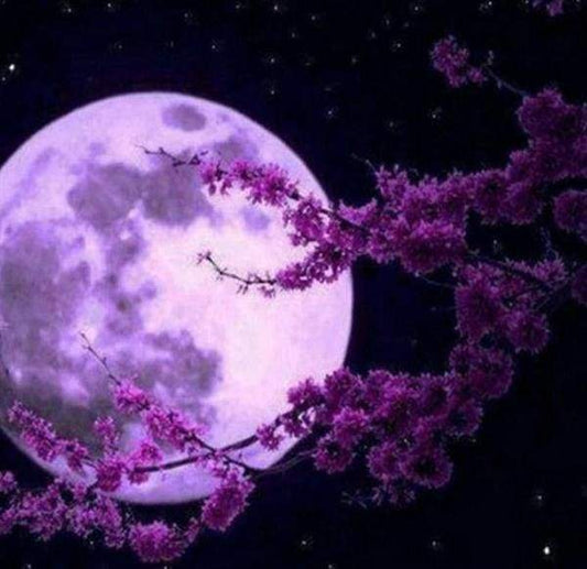 Diamond Painting - Luna Piena E Fiori Diamond Painting | Seos Shop ®