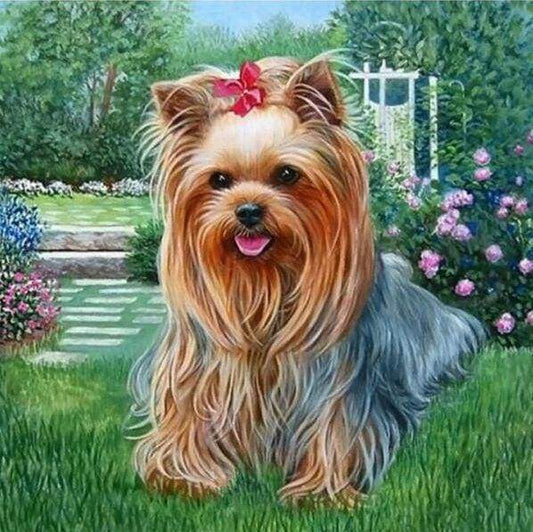 Diamond Painting - Maltese Diamond Painting