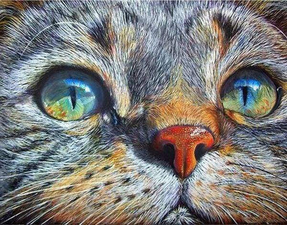 Diamond Painting - Muso Di Gatto Diamond Painting | Seos Shop ®