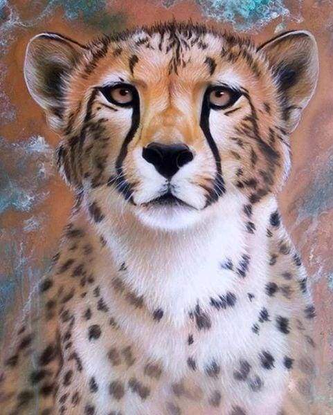 Diamond Painting - Muso Di Ghepardo Diamond Painting