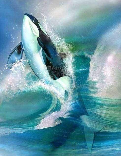 Diamond Painting - Orca Diamond Painting