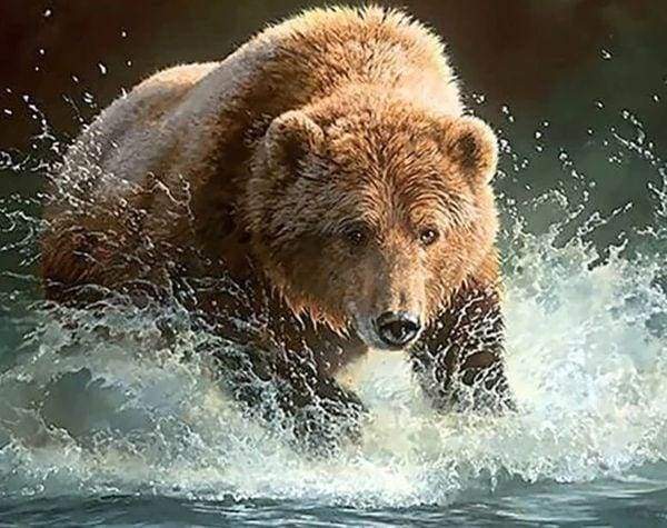 Diamond Painting - Orso Nel Fiume Diamond Painting
