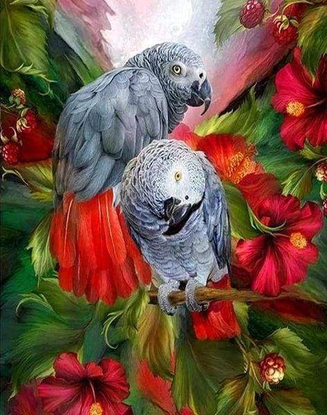 Diamond Painting - Pappagalli Rossi E Grigi Diamond Painting