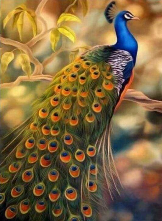 Diamond Painting - Pavone Femmina Diamond Painting