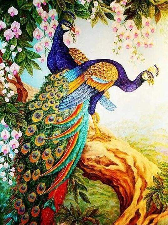 Diamond Painting - Pavoni Su Un Ramo Diamond Painting