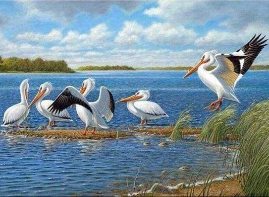 Diamond Painting - Pellicani Diamond Painting