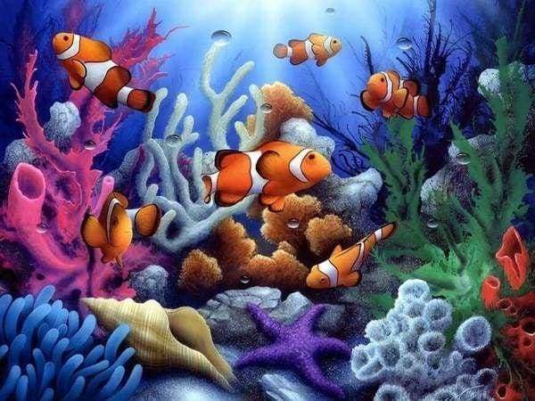 Diamond Painting - Pesce Pagliaccio Diamond Painting