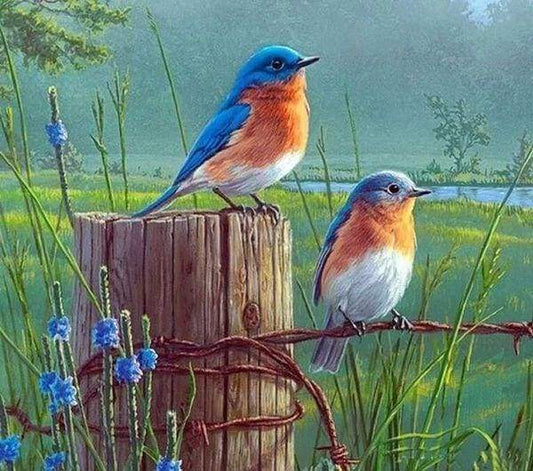 Diamond Painting - Piccoli Uccelli Diamond Painting