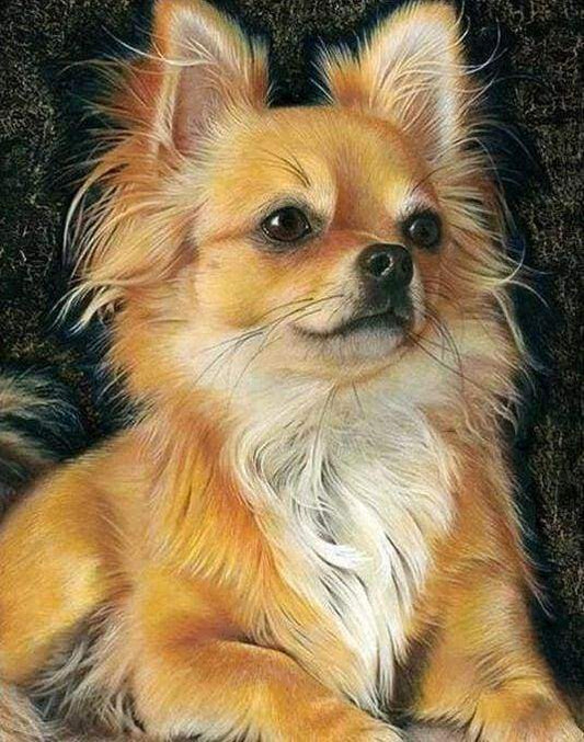 Diamond Painting - Piccolo Cane Rosso Diamond Painting