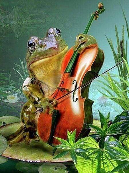 Diamond Painting - Rana E Violino Diamond Painting