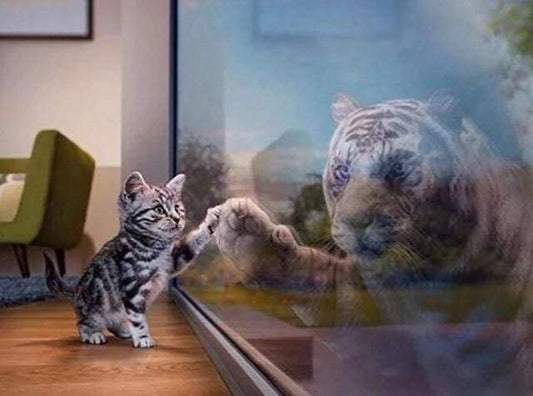 Diamond Painting - Riflessi Di Gattino E Tigre Diamond Painting