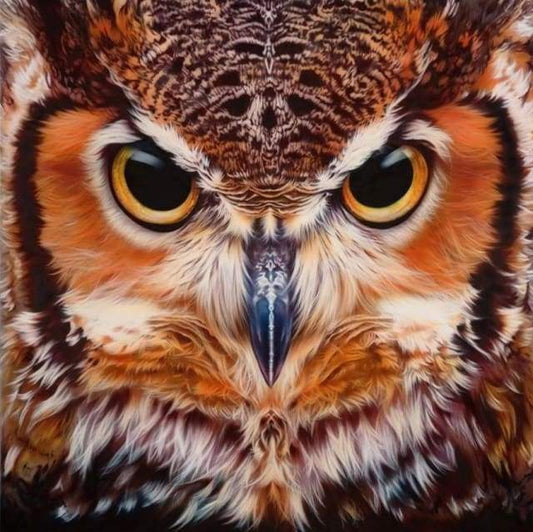 Diamond Painting - Ritratto Di Gufi Diamond Painting