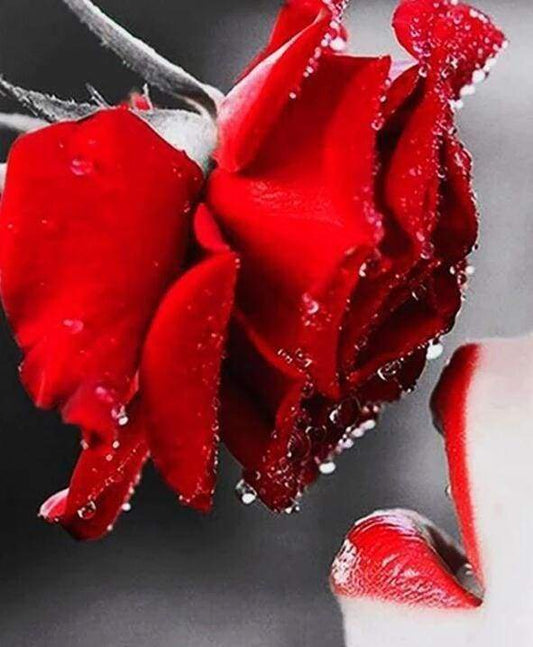 Diamond Painting - Rosa Rossa E Labbra Diamond Painting