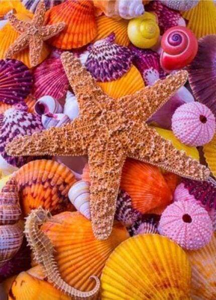 Diamond Painting - Stelle Colorate E Conchiglie Di Mare Diamond Painting