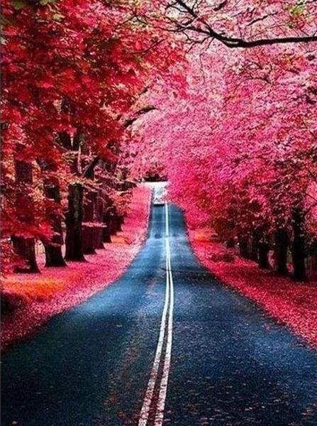 Diamond Painting - Strada In Autunno Diamond Painting | Seos Shop ®