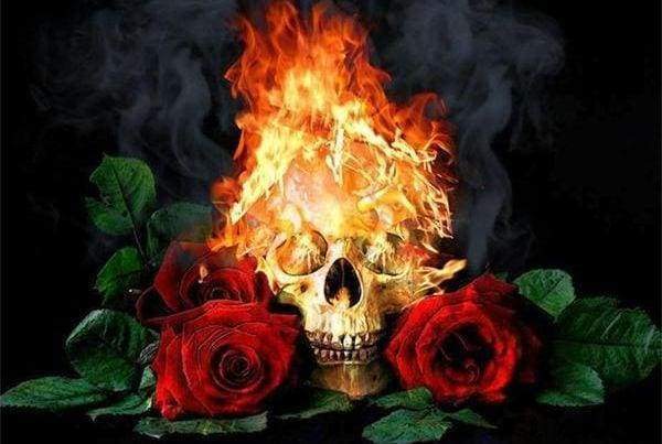 Diamond Painting - Teschio Di Fuoco E Rose Diamond Painting