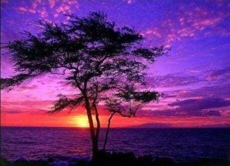 Diamond Painting - Tramonto E Oceano Diamond Painting