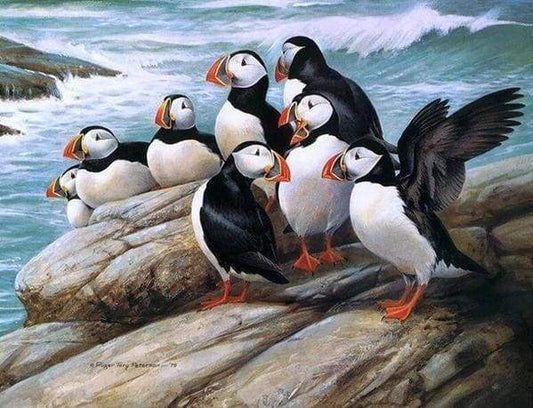 Diamond Painting - Uccelli In Mare Diamond Painting