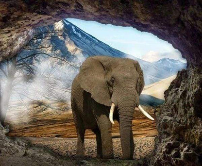Diamond Painting - Vista Dell'Elefante Diamond Painting
