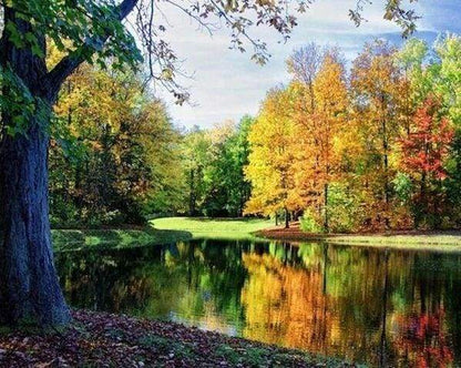 Diamond Painting - Vista Sullo Stagno Diamond Painting