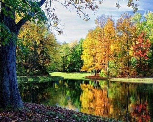 Diamond Painting - Vista Sullo Stagno Diamond Painting