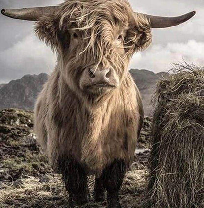 Diamond Painting - Yak Diamond Painting