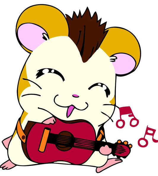 Dipingere con i numeri Bambini - Gatto E Chitarra Diamond Painting | Seos Shop ®